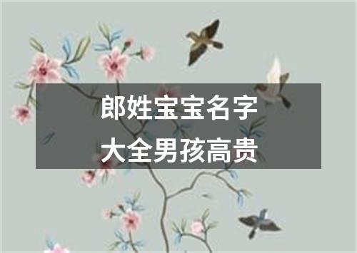 郎姓宝宝名字大全男孩高贵