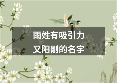 雨姓有吸引力又阳刚的名字