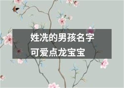 姓冼的男孩名字可爱点龙宝宝