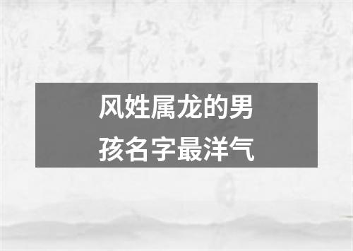 风姓属龙的男孩名字最洋气