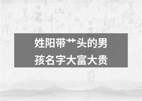 姓阳带艹头的男孩名字大富大贵