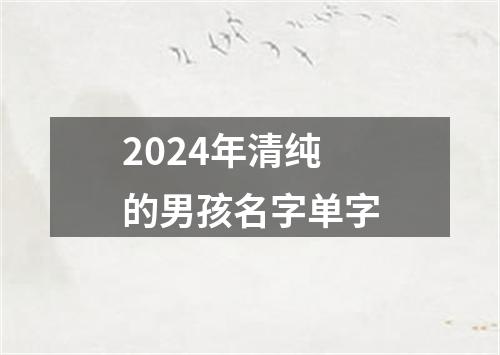 2024年清纯的男孩名字单字