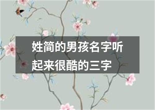 姓简的男孩名字听起来很酷的三字