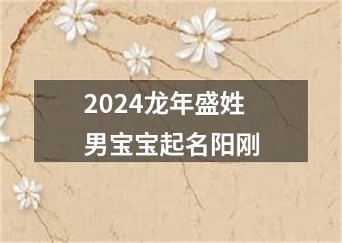 2024龙年盛姓男宝宝起名阳刚