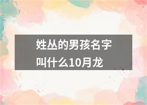 姓丛的男孩名字叫什么10月龙