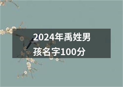 2024年禹姓男孩名字100分