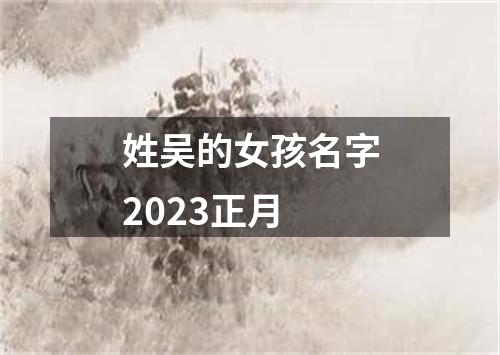 姓吴的女孩名字2023正月