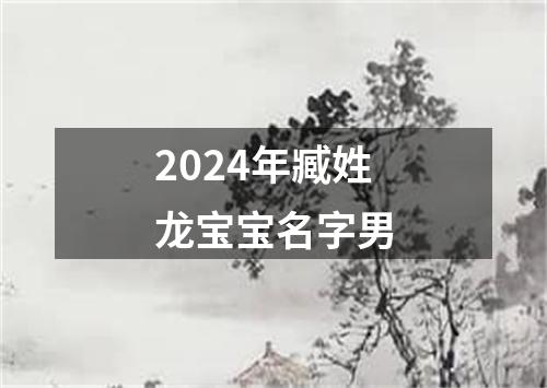 2024年臧姓龙宝宝名字男