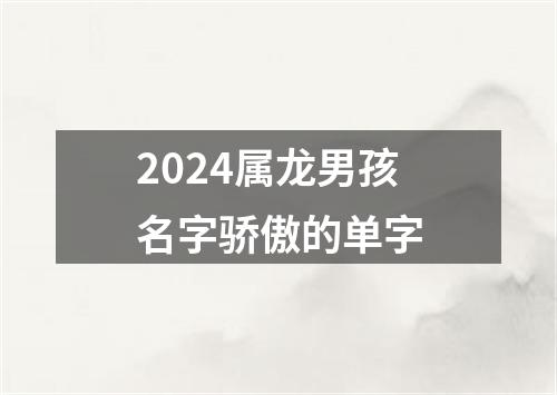 2024属龙男孩名字骄傲的单字