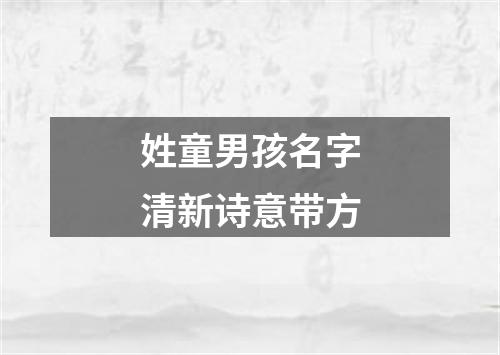 姓童男孩名字清新诗意带方