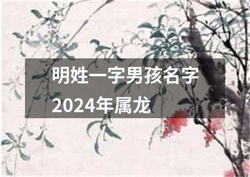 明姓一字男孩名字2024年属龙