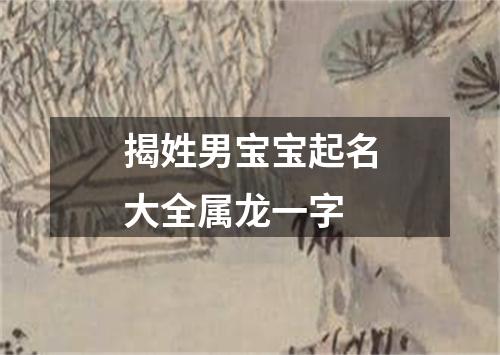 揭姓男宝宝起名大全属龙一字