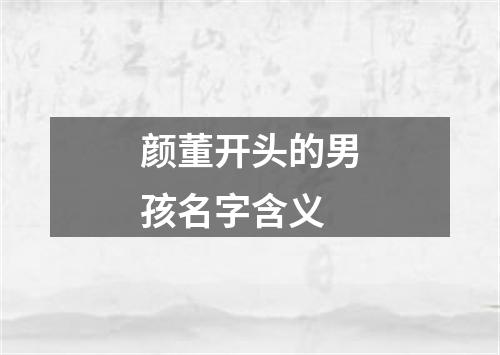 颜董开头的男孩名字含义