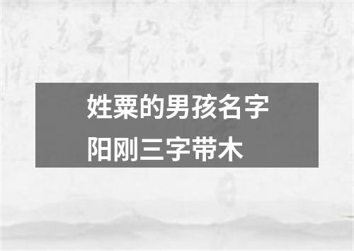 姓粟的男孩名字阳刚三字带木