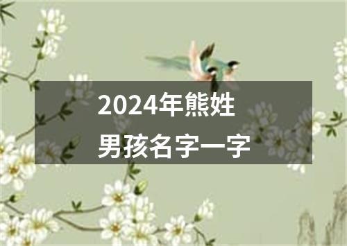 2024年熊姓男孩名字一字