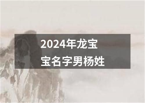 2024年龙宝宝名字男杨姓