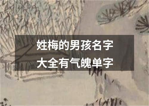 姓梅的男孩名字大全有气魄单字