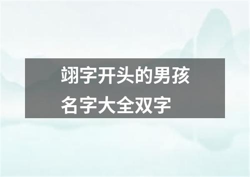 翊字开头的男孩名字大全双字