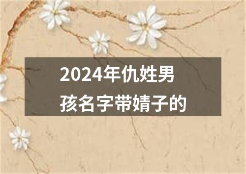 2024年仇姓男孩名字带婧子的