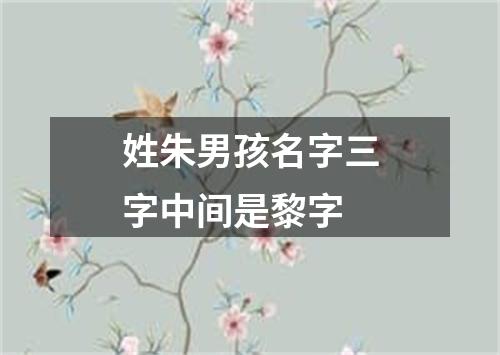 姓朱男孩名字三字中间是黎字