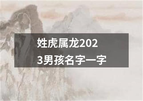 姓虎属龙2023男孩名字一字