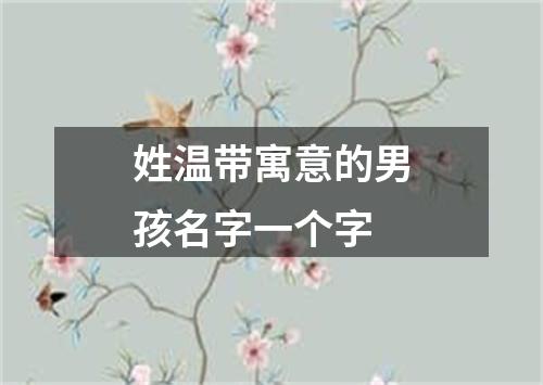 姓温带寓意的男孩名字一个字