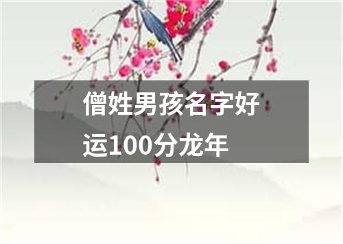 僧姓男孩名字好运100分龙年