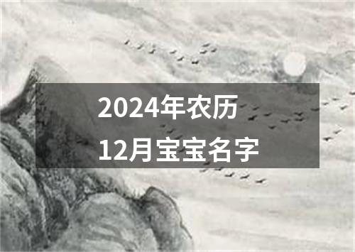 2024年农历12月宝宝名字