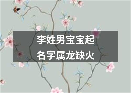 李姓男宝宝起名字属龙缺火