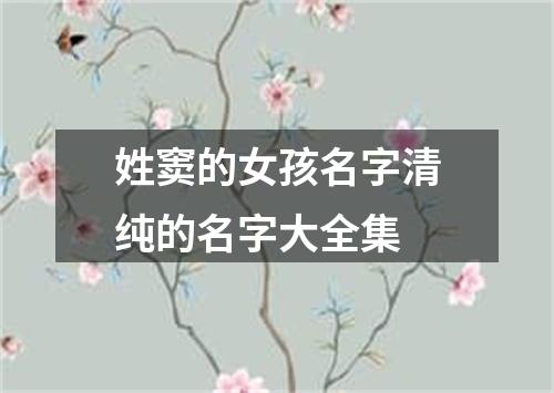 姓窦的女孩名字清纯的名字大全集