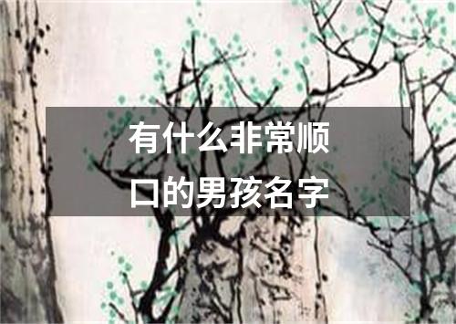 有什么非常顺口的男孩名字