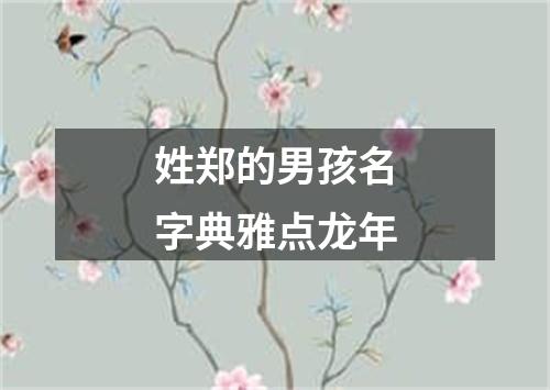 姓郑的男孩名字典雅点龙年