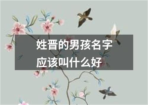 姓晋的男孩名字应该叫什么好