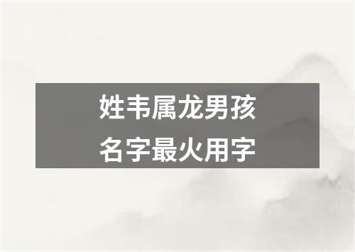 姓韦属龙男孩名字最火用字