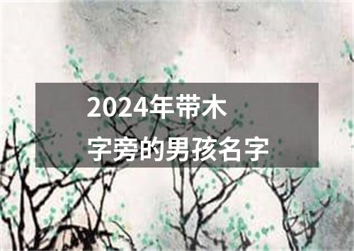 2024年带木字旁的男孩名字