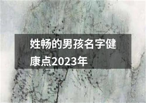 姓畅的男孩名字健康点2023年