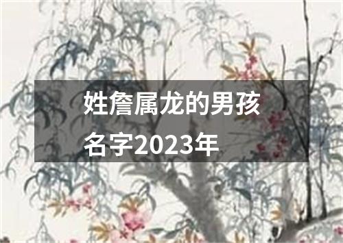 姓詹属龙的男孩名字2023年