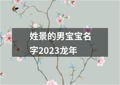 姓景的男宝宝名字2023龙年