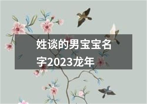 姓谈的男宝宝名字2023龙年