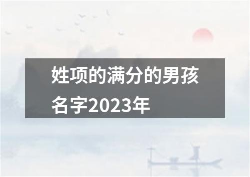 姓项的满分的男孩名字2023年