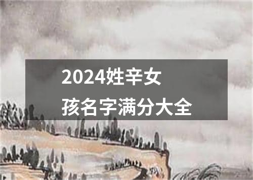 2024姓辛女孩名字满分大全