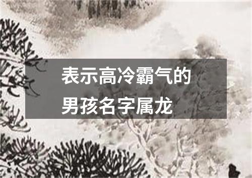 表示高冷霸气的男孩名字属龙