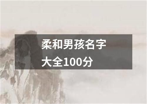 柔和男孩名字大全100分