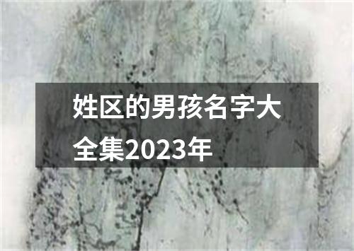 姓区的男孩名字大全集2023年