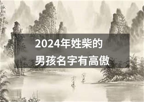 2024年姓柴的男孩名字有高傲