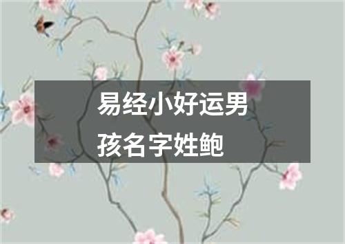 易经小好运男孩名字姓鲍