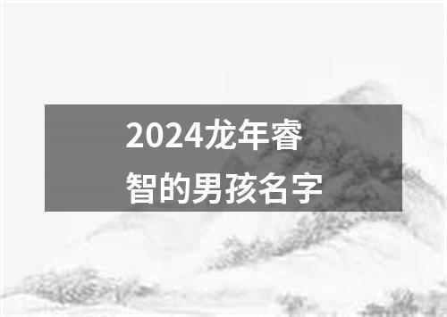 2024龙年睿智的男孩名字