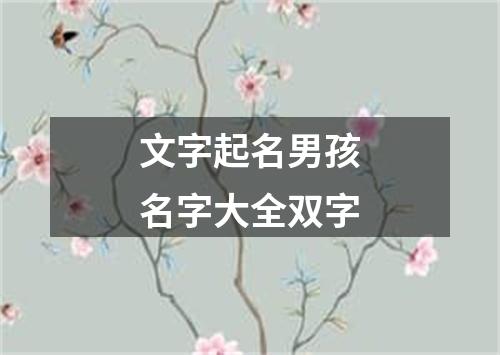 文字起名男孩名字大全双字