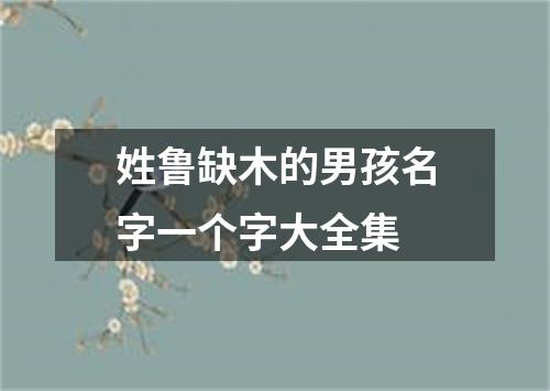 姓鲁缺木的男孩名字一个字大全集