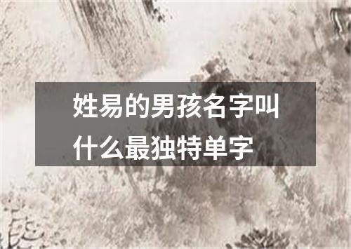 姓易的男孩名字叫什么最独特单字